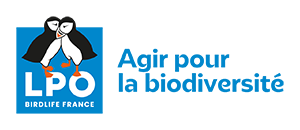 Mooc Formation LPO