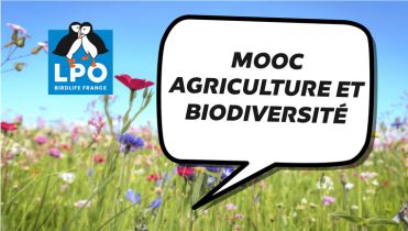 mooc agriculture